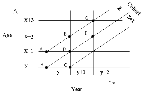 cohort.gif (4656 bytes)