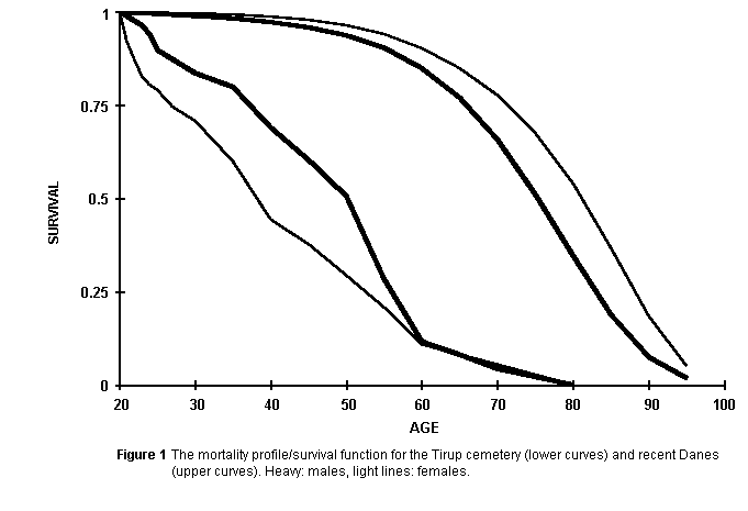 figure13.gif (7002 bytes)