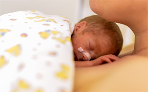 Delicate preterm born baby cuddling up to his mother.