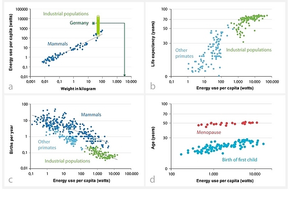 What the electric meter tells us about the birth rate - figure 1