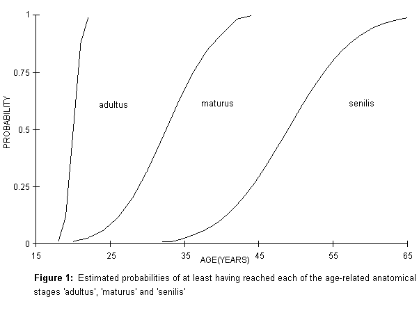 figure12.gif (5296 bytes)